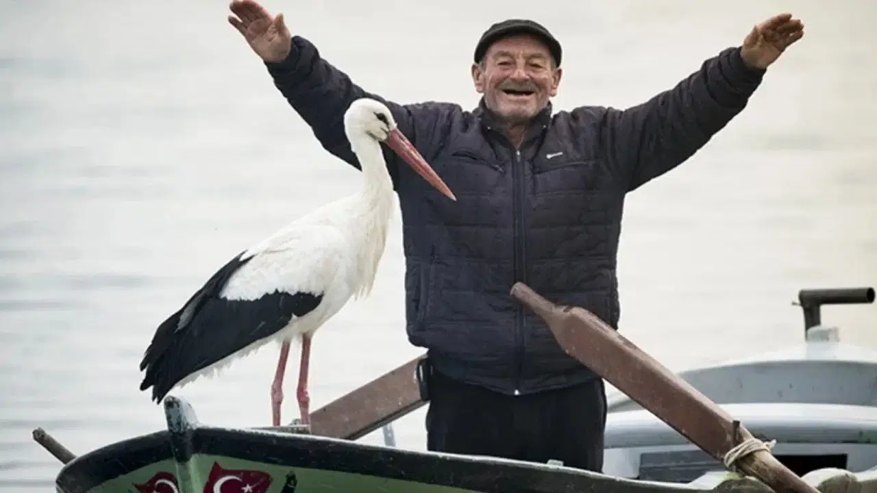 Yaren Leylek Ne Zaman Gelecek? Leyley Köyü'nde Nöbet Başladı