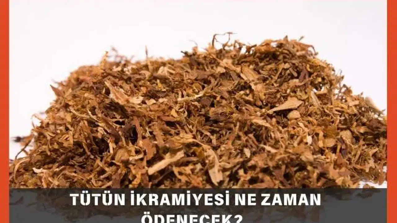 2026 Tütün İkramiyesi Ne Zaman Ödenecek ve Miktarı Ne Olacak?