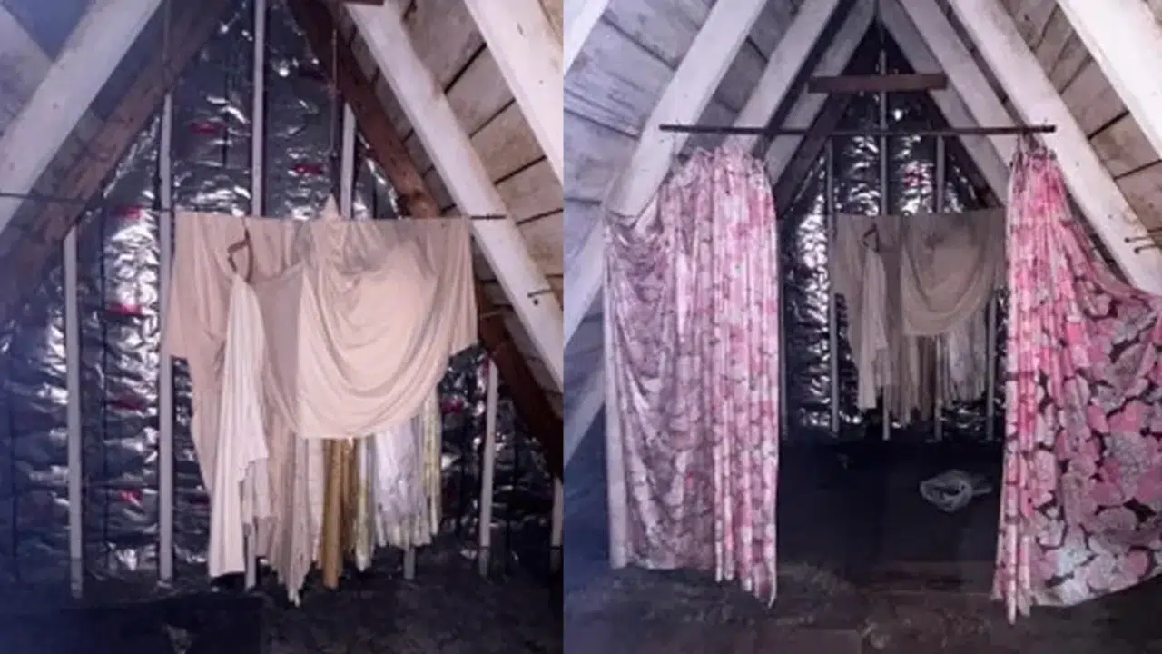 Tavan Arasında Karşılaşılan Şaşırtıcı Görüntüler Nedir?