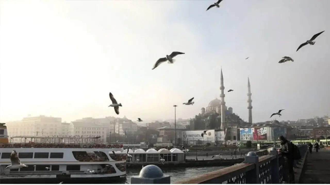 Türkiye'de Geçen Ay Son 56 Yılın En Sıcak 3'üncü Şubat Ayı Olarak Kaydedildi