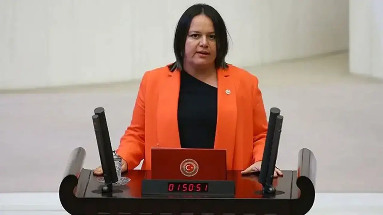 Nilgün Ök kimdir, nereli ve kaç yaşında? Hangi partiden geliyor?