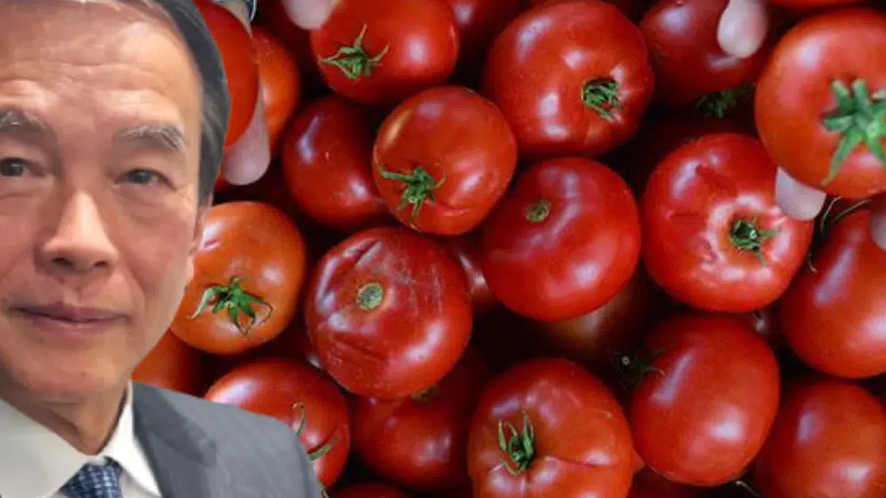 Finans Dünyasının Önemli İsimlerinden Masataka Miyazono, Tarıma Yöneldi