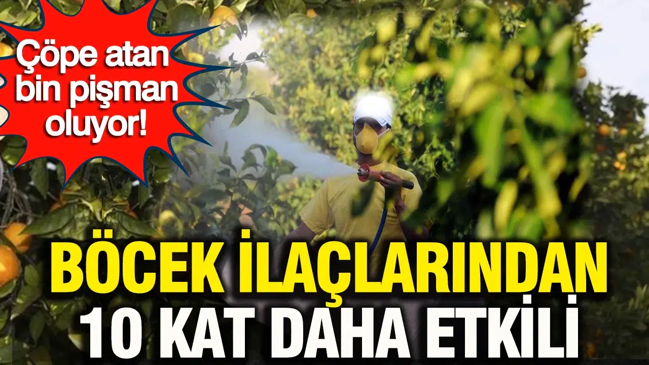 Portakal Kabukları, Böcek İlaçlarından Daha mı Etkili? İşte Gizli Gücü!