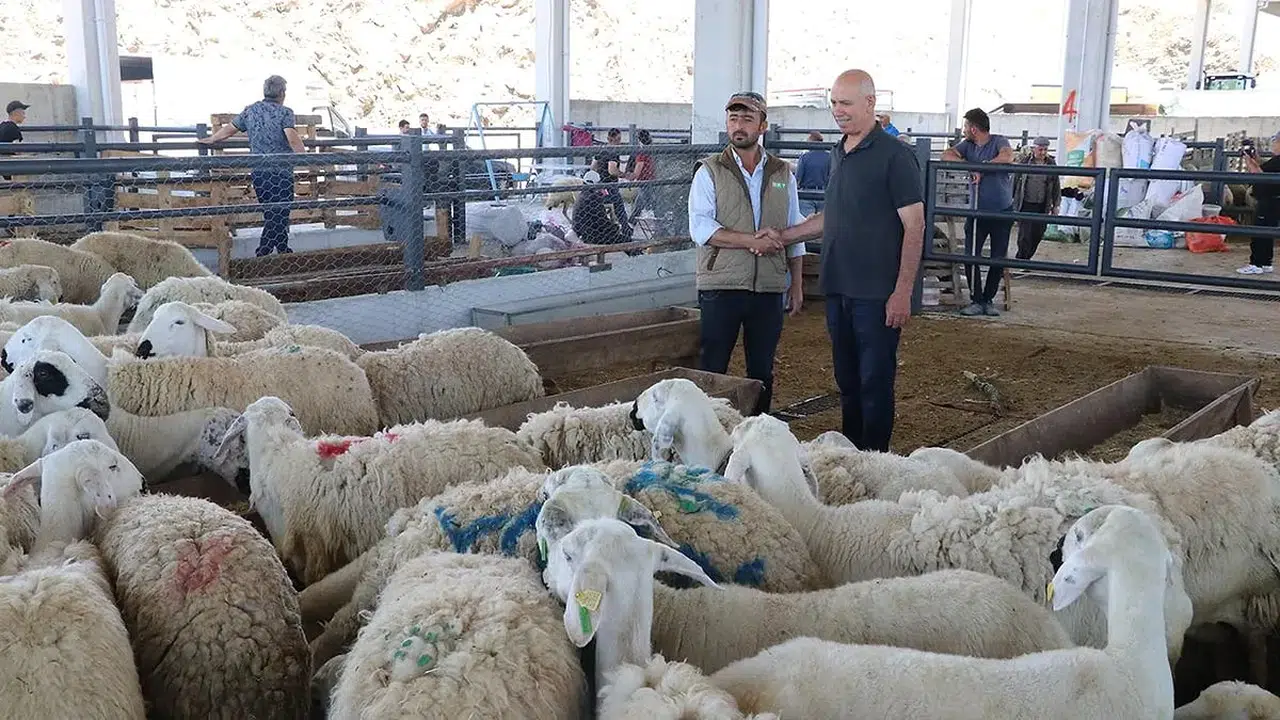 Bu yıl kurban kesim ücreti ne kadar? İşte detaylar
