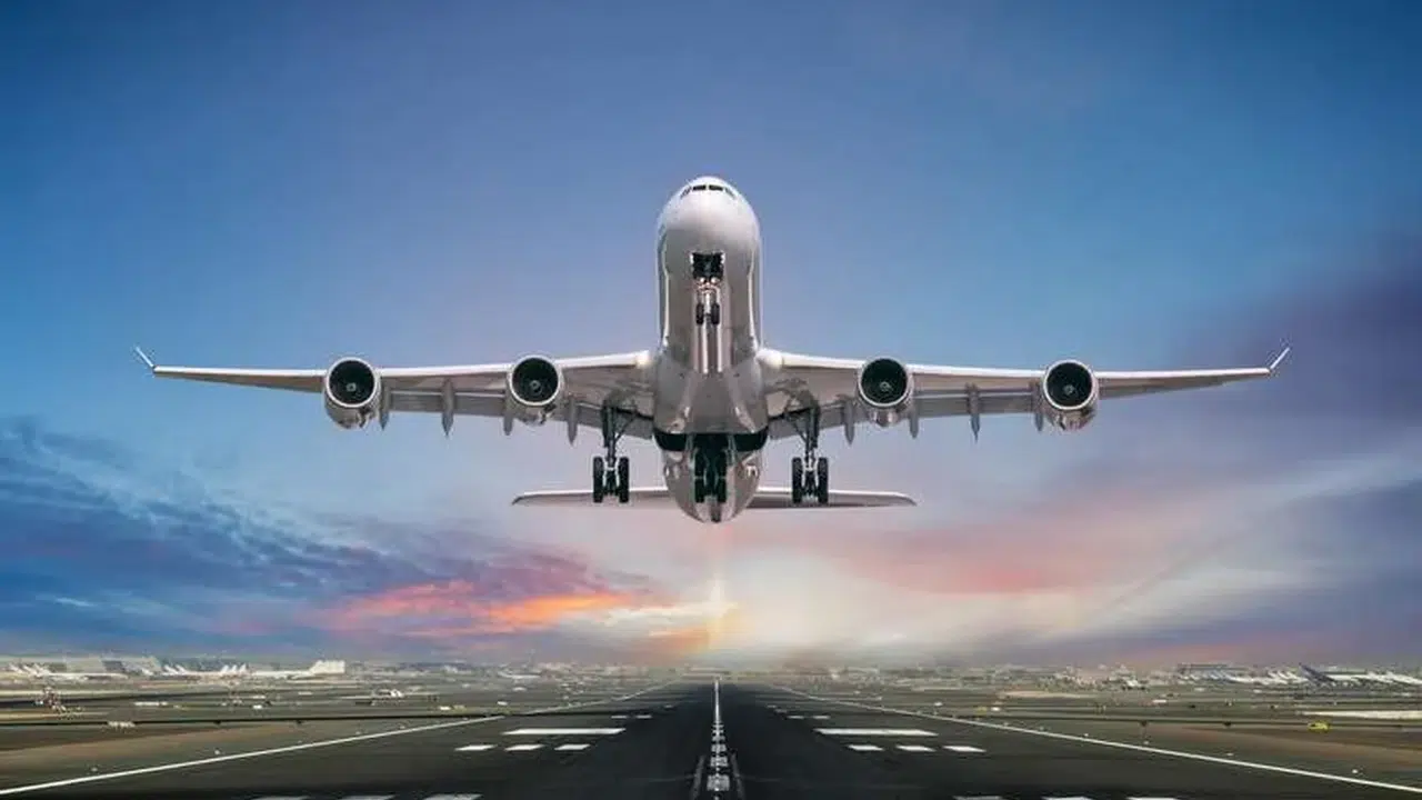 Uçak Motorunda Binlerce Arı Bulundu: Kalkış Neden Gecikti?