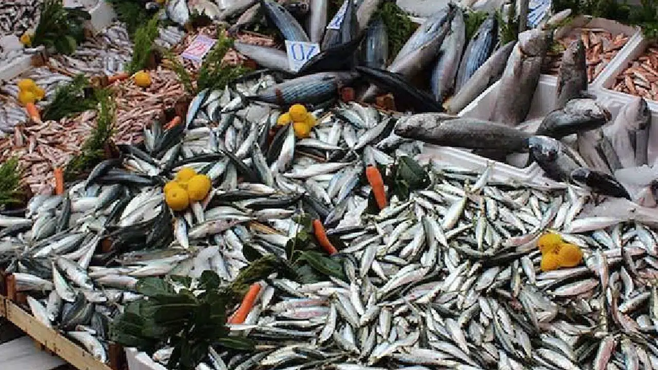 Türklerin sevdiği kalkan balığı Romanya ve Bulgaristan'da yasaklandı