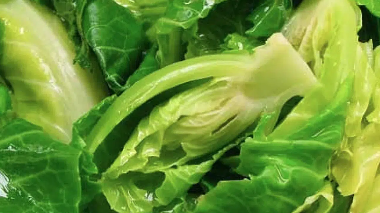 Cibes otu nedir, faydaları nelerdir ve nerelerde yetişir?