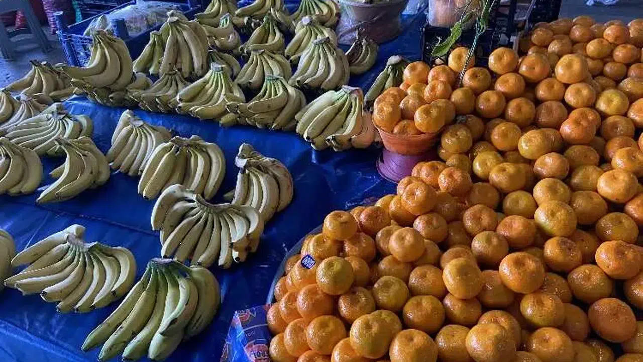 Kayseri Hali'nde Yaz Meyvelerinin Fiyatları Ne Durumda?