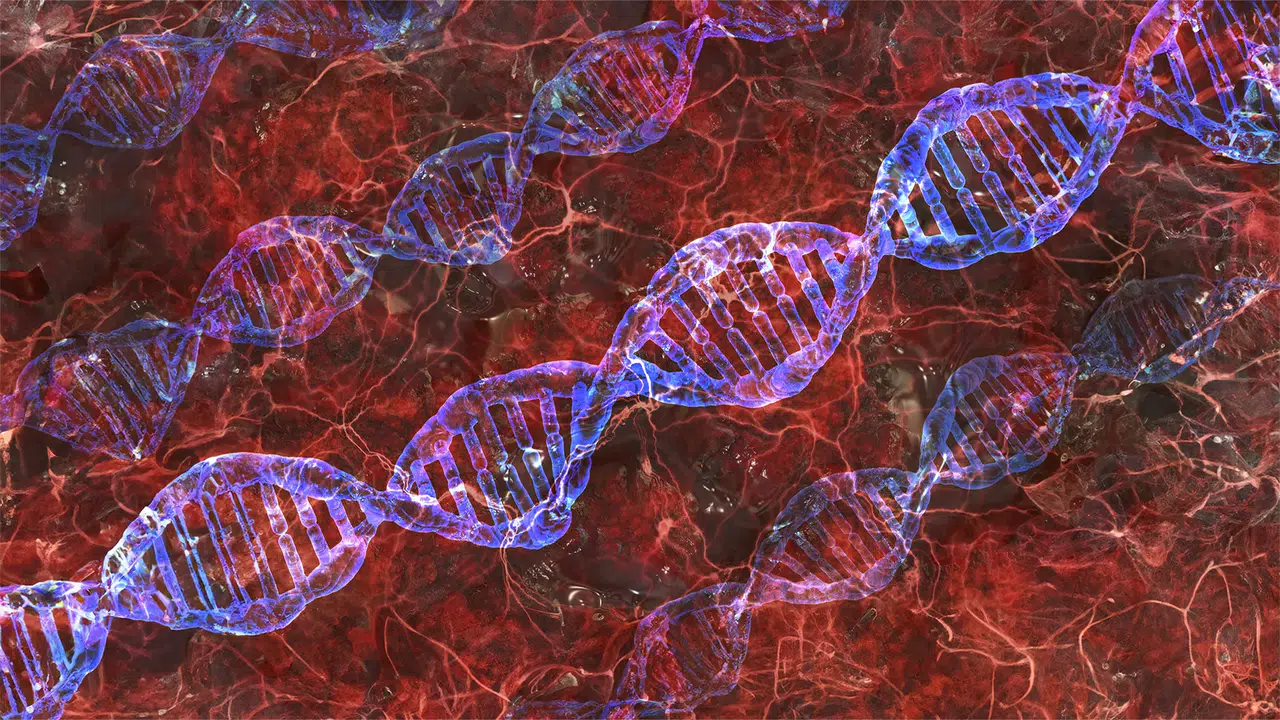 Kaderinizin yarısı DNA'nızda saklı