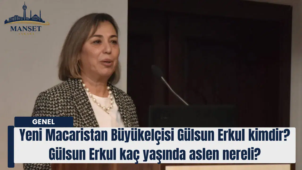 Yeni Macaristan Büyükelçisi Gülsun Erkul kimdir ve hangi görevlerde bulundu?