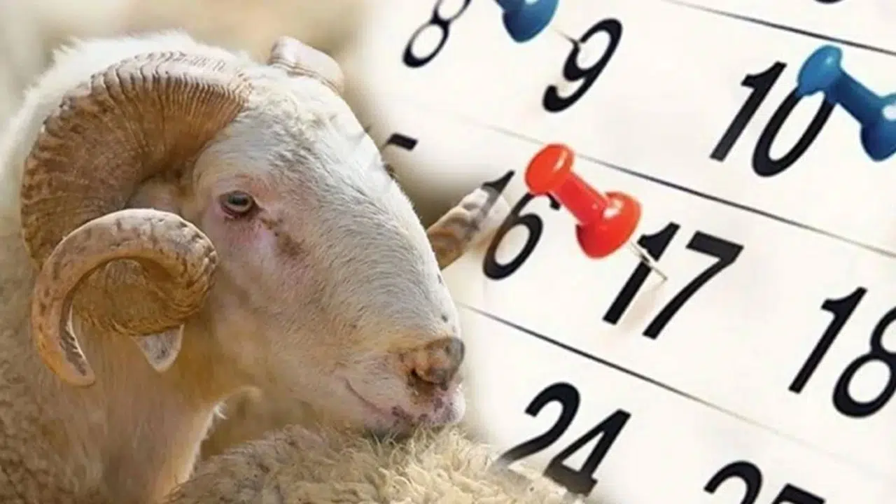 9 günlük Kurban Bayramı tatili ne zaman, ayın kaçında başlıyor?