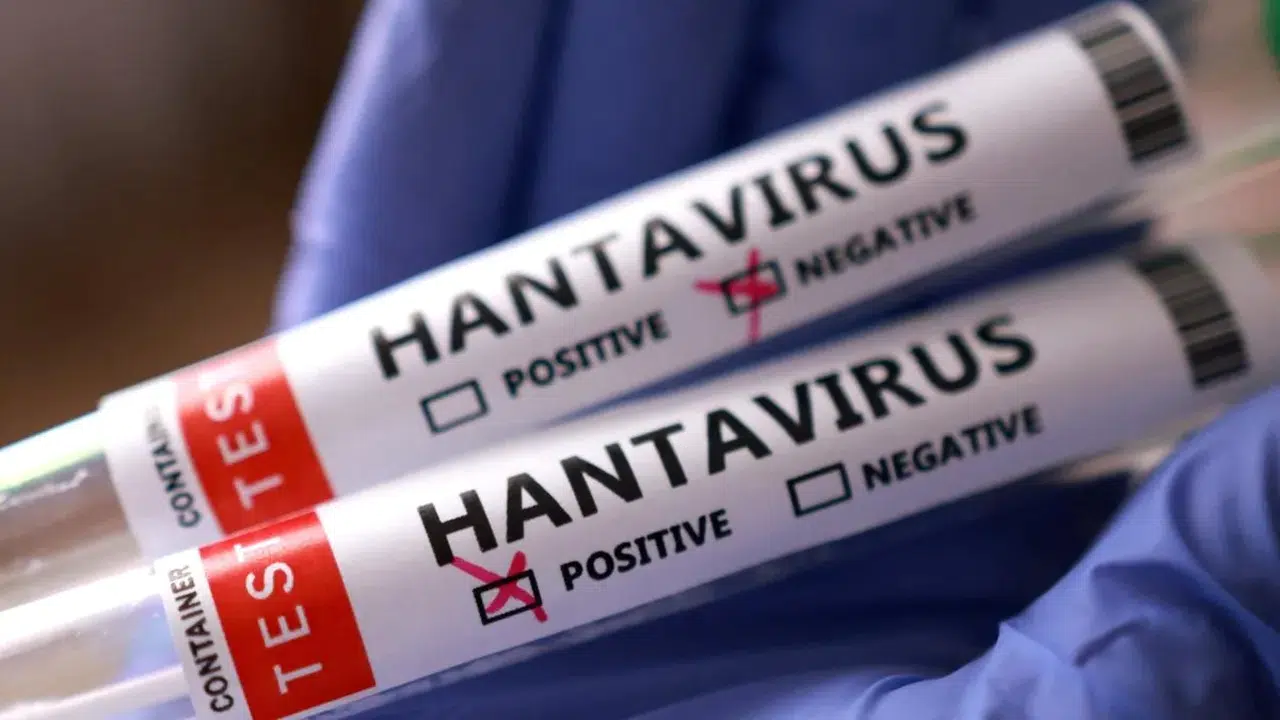 Hantavirüs nereden çıktı, kurgu mu? İlaç kartelleri üzerine çarpıcı iddialar