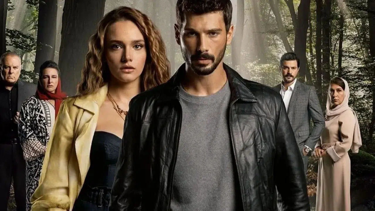 Hudutsuz Sevda dizisi bitti mi, neden bitti?