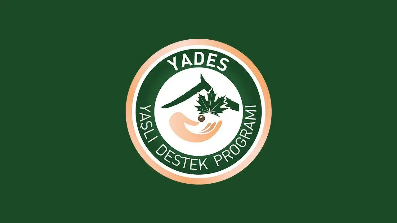 Yaşlı Destek Programı (YADES) nedir ve nasıl başvurulur?