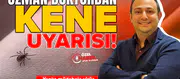 Uzman doktordan kene uyarısı: Yanlış müdahale virüs bulaştırma riskini artırıyor