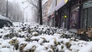 Kırşehir’de kar yağışı nedeniyle 4 ilçede taşımalı eğitime ara verildi