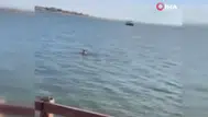 Mogan Gölü’nde şaşkınlık yaratan anlar: “Kurtuldum” diye bağırarak göle atladı!