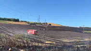 Büyükçekmece'de buğday tarlasında yangın