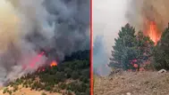 Konya'da orman yangını!