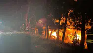 Hatay Arsuz'da ağaçlık alanda yangın çıktı : Ekipler sevk edildi