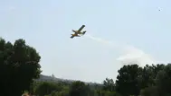 İzmir'in Urla ilçesinde orman yangını