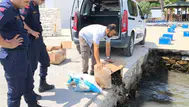 Aydın'da kaçak sevk edilen 60 kilo canlı yengeç ele geçirildi