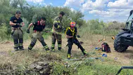 Diyarbakır'da yaban domuzu su kuyusuna düştü