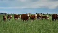 Kırsalda Bereket Projesi sonuçları nereden ve nasıl öğrenilir?