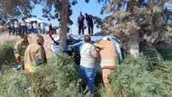 Hatay'da otomobil ağaca çarptı, 7 kişi yaralandı
