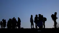 Muğla'da düzensiz göçmen operasyonu : 67 göçmen yakalandı
