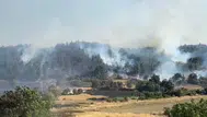 Balıkesir'de orman yangını : Ekiplerin müdahalesi sürüyor