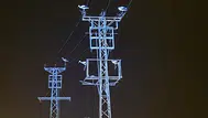 Afyonkarahisar'da göç eden leylekler tellere kondu : Beldelerde elektrik kesintisi yaşandı