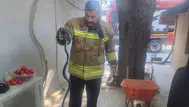Antakya'da eve giren yılan itfaiye ekiplerince yakalanarak doğaya bırakıldı