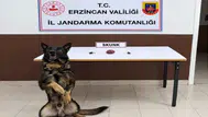 Erzincan’da Uyuşturucu Operasyonu: Çok Sayıda Gözaltı