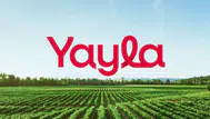 Yayla Gıda’dan (YYLGD) geri alım açıklaması