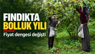 Karadeniz'de Kabuklu Fındık Rekoltesinin Artışı Fiyatları Nasıl Etkiledi ?