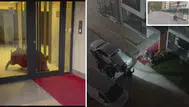Amasya'da binaya giren yaban domuzu polisin operasyonuyla etkisiz hale getirildi
