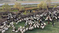 Van Yaylalarından Siirt'e Zorlu Göç Yolculuğu Başladı
