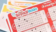 Çılgın Sayısal Loto’da büyük ikramiye ne kadar oldu?