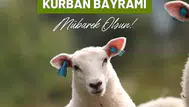 Uzun, kısa, anlamlı ve dualı Kurban Bayramı mesajları : 2026 Kurban Bayramı sözleri