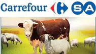 Carrefour kurbanlık fiyatları 2026: Büyükbaş ve küçükbaş kurbanlık seçenekleri ne kadar?