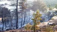 Marmaris iki gündür yanıyor! Orman yangınına havadan müdahale devam ediyor
