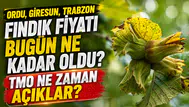 İŞKUR 83 bin işçi alımı hakkında hangi kadrolar açık durumda?