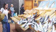 Karadeniz'de hamsi ve palamut neden bu kadar fazla?
