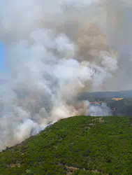 Bursa'da orman yangını! Havadan ve karadan müdahale sürüyor