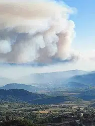 Suriye’den sızan alevler Türkiye sınırına ulaştı! Hatay’daki yangın kontrol altında!