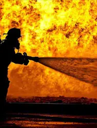 Adana'da mangal keyfi faciayla sonlandı : 40 güvercin telef oldu