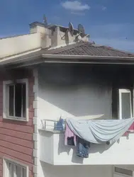 Bursa'da çıkan yangında 77 yaşındaki kadın ağır yaralandı