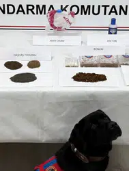 Tokat'ta uyuşturucu operasyonu : 8 gözaltı