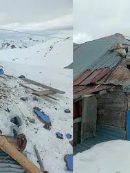 Gümüşhane'de yaylalarında ayı saldırısı : Eşyaları ve erzakları darmadağın etti